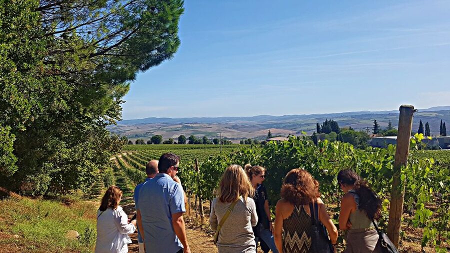 Florence: Valdorcia Wine, Brunello Montalcino, Montepulciano - What $265 includes, and what it does not