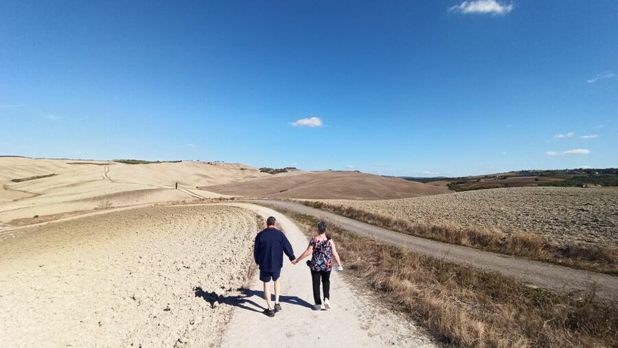 Florence: Valdorcia Wine, Brunello Montalcino, Montepulciano - Should you book the Val d’Orcia wine tour?
