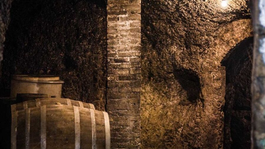 Frascati Wine Road from Rome: Tasting & Lunch - A full trattoria lunch with wine