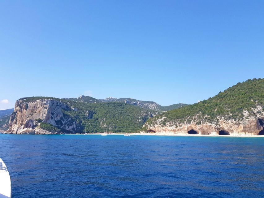 From Cala Gonone: Orosei Gulf Cruise with Stops - Should You Book the Orosei Gulf Cruise?