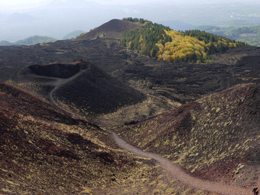 From Catania: Etna tour by Panoramic Bus - What the audio guide adds