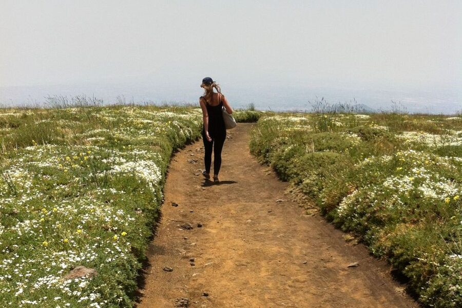 From Catania: Mount Etna Half-Day Tour and Wine Experience - Practical booking advice