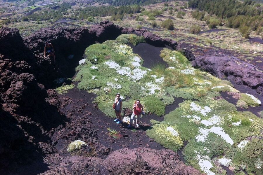 From Catania: Mount Etna Half-Day Tour and Wine Experience - The lava cave, helmets, and torches