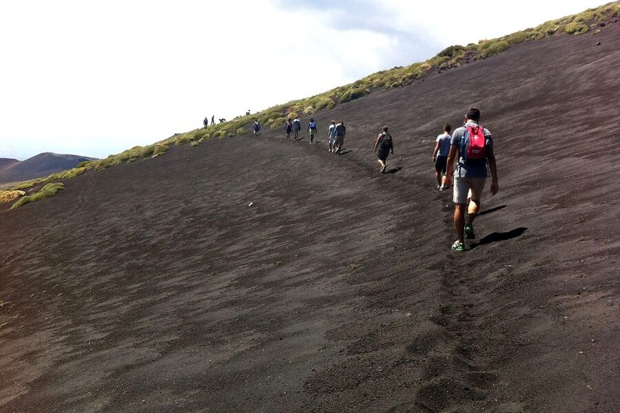 From Catania: Mount Etna Half-Day Tour and Wine Experience - Down to Zafferana Etnea for volcanic wine