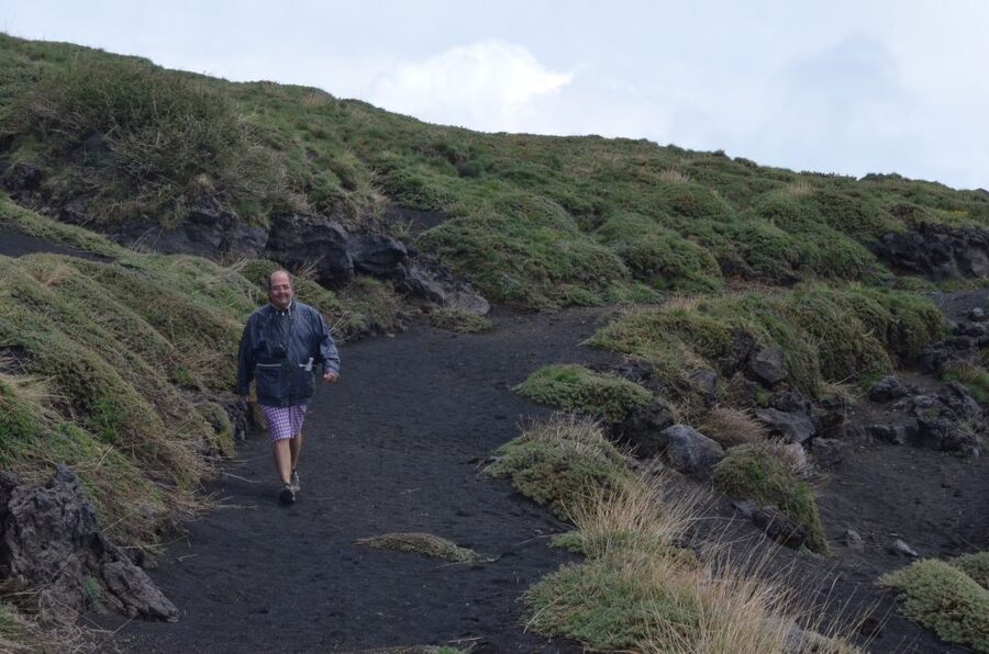 From Catania: Mount Etna Half-Day Tour and Wine Experience - Who should book this Etna experience?
