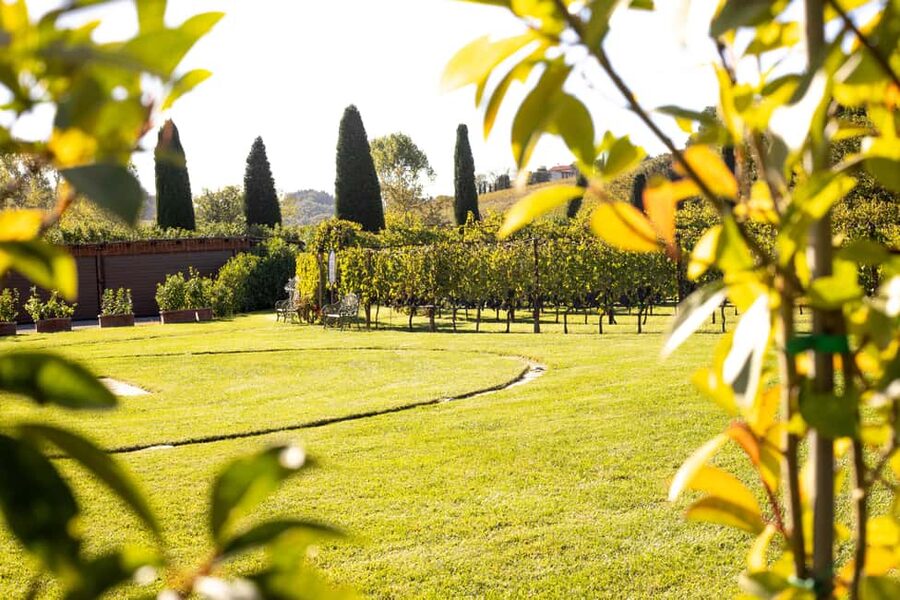 From Florence: Chianti Half-Day Afternoon Tour - Key points to know before booking
