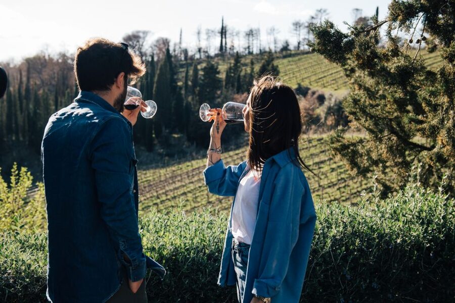 From Florence: Chianti Hills Half-Day Tour with Wine Tasting - Key points at a glance