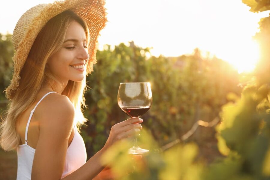 From Florence: Chianti Hills Half-Day Tour with Wine Tasting - Practical details that can save your afternoon