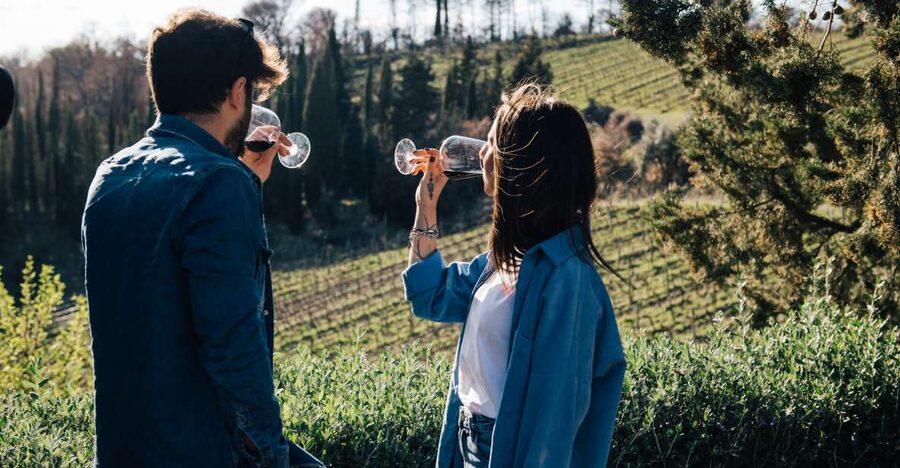 From Florence: Chianti Hills Half-Day Tour with Wine Tasting - Seven wines, from sparkling welcome to vin santo