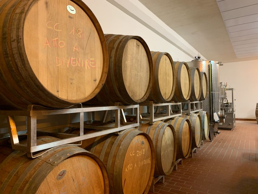 From Florence: Chianti Hills Half-Day Tour with Wine Tasting - A second tasting stop and possible village time