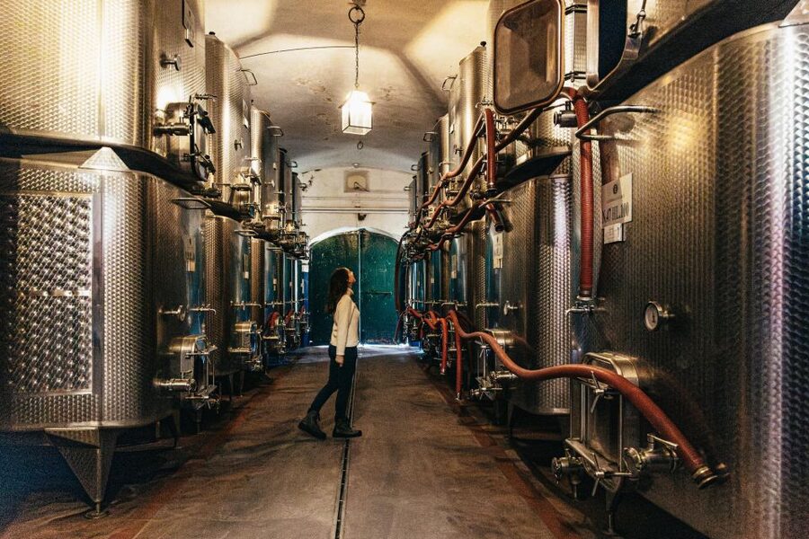 From Florence: Chianti Wine and Food Tasting Safari - Off-road through woods, farms, and cypress hills