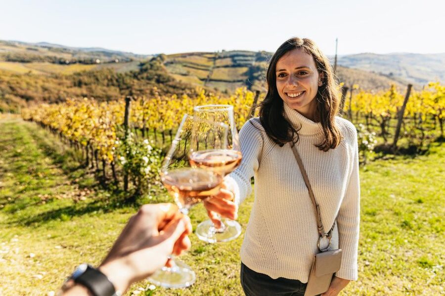 From Florence: Chianti Wine and Food Tasting Safari - The second estate and Chianti Classico