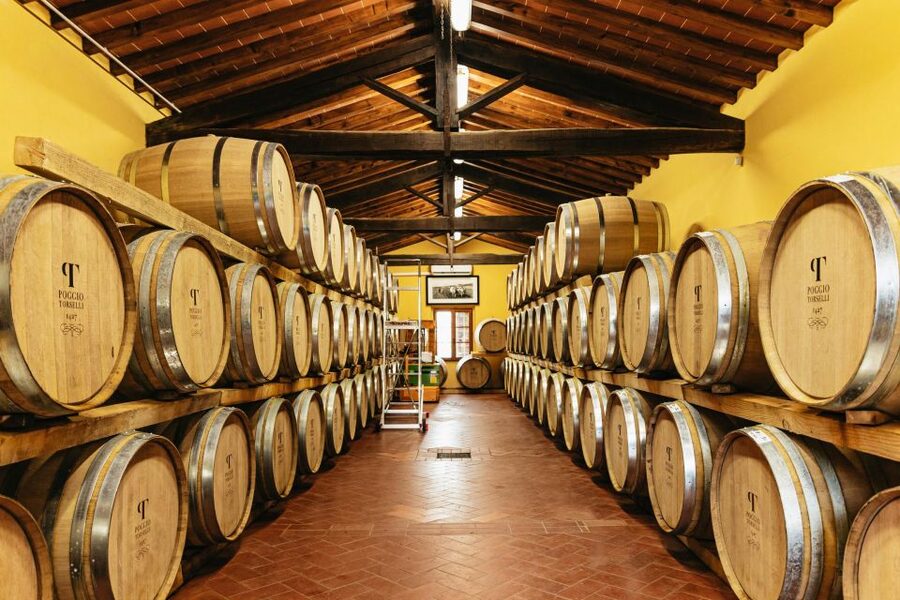 From Florence: Chianti Wine and Food Tasting Safari - Is the $254.89 price good value?