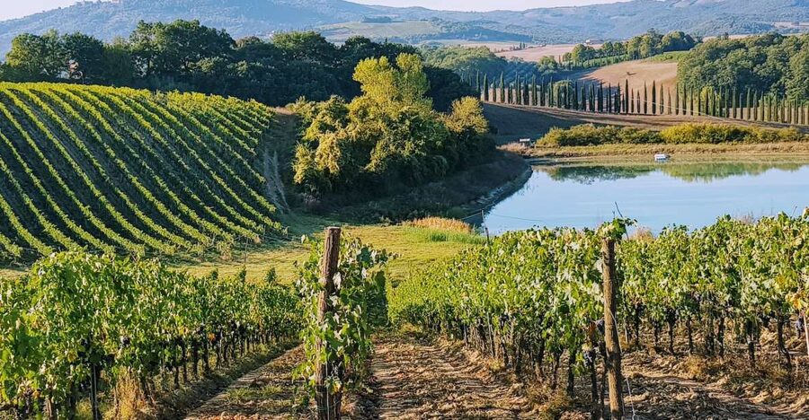 From Florence: Chianti Wine Tastings at Sunset Day Trip - Why this afternoon in Chianti works so well