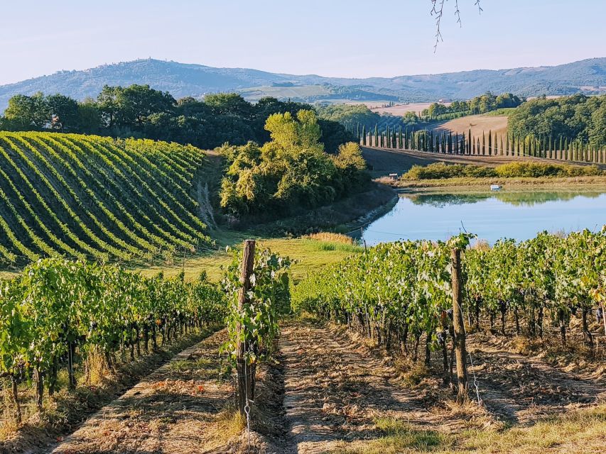 From Florence: Chianti Wine Tastings at Sunset Day Trip - Greve in Chianti, a useful first glimpse