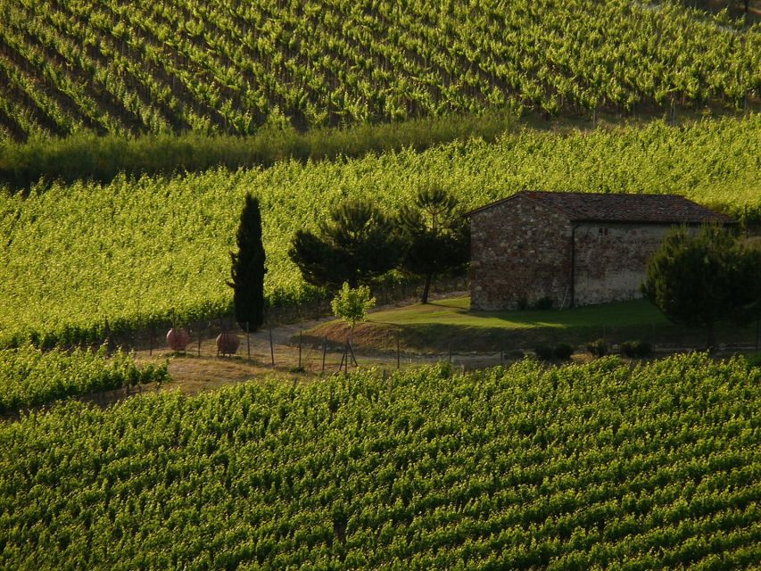 From Florence: Chianti Wine Tastings at Sunset Day Trip - Leaving Florence in a seven-seat minivan