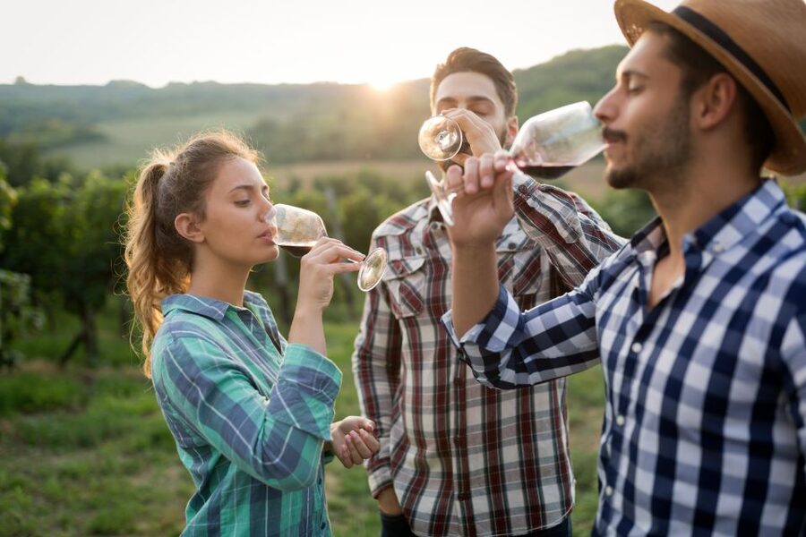 From Florence: Chianti Wine Tour with Tasting - The Food: Tasty Pairings, Not a Full Lunch