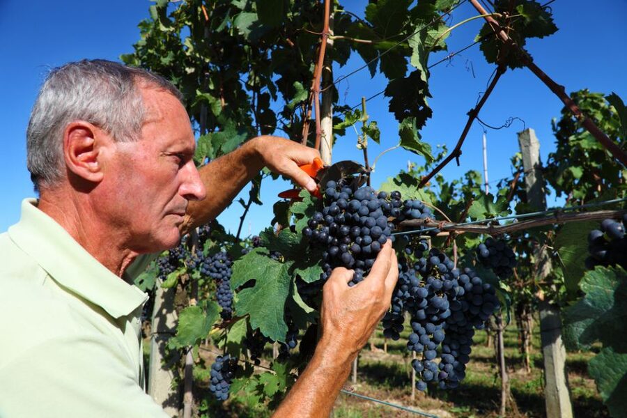 From Florence: Chianti Wine Tour with Tasting - Who Will Enjoy This Chianti Tour Most