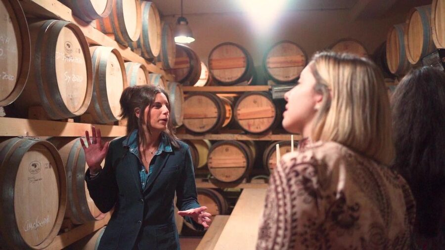From Florence: Chianti Wine Tour with Tastings - Who should book this experience