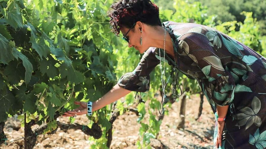 From Florence: Chianti Wine Tour with Tastings - The first winery: small, organic, and personal
