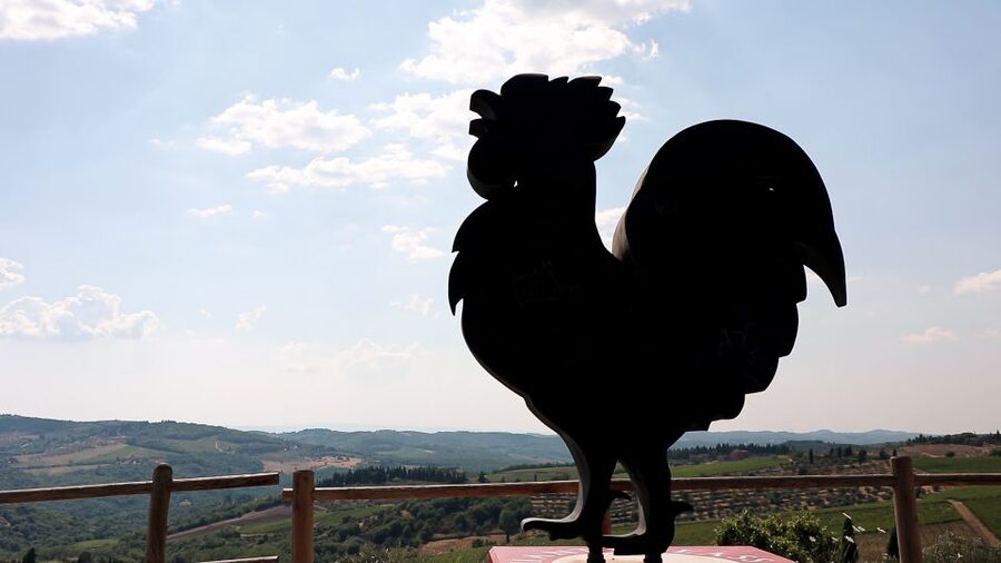 From Florence: Chianti Wine Tour with Tastings - The guides make a real difference