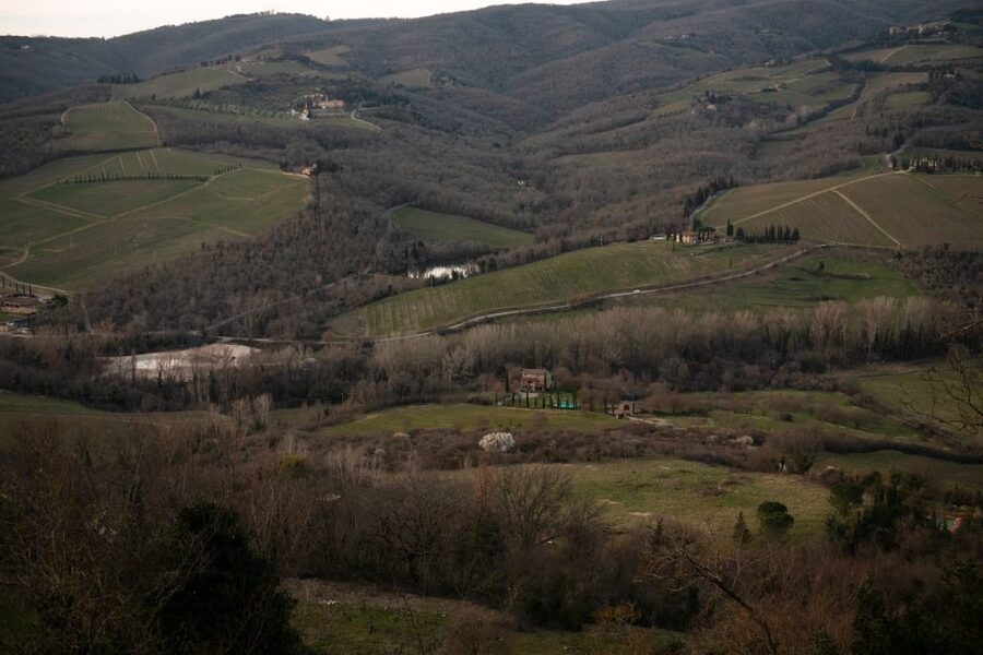 From Florence: Private Chianti Hills Tour with Tasting - Radda in Chianti, a useful village stop