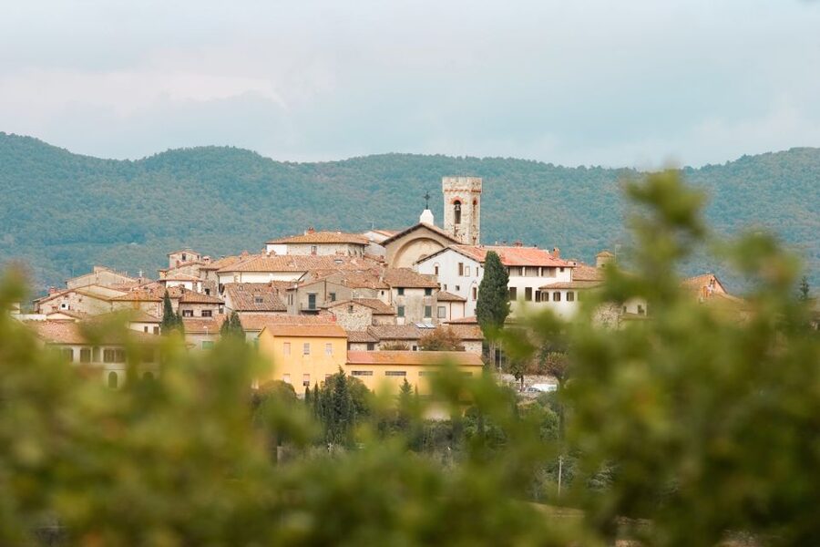 From Florence: Private Chianti Hills Tour with Tasting - The first winery: views, animals, and open countryside