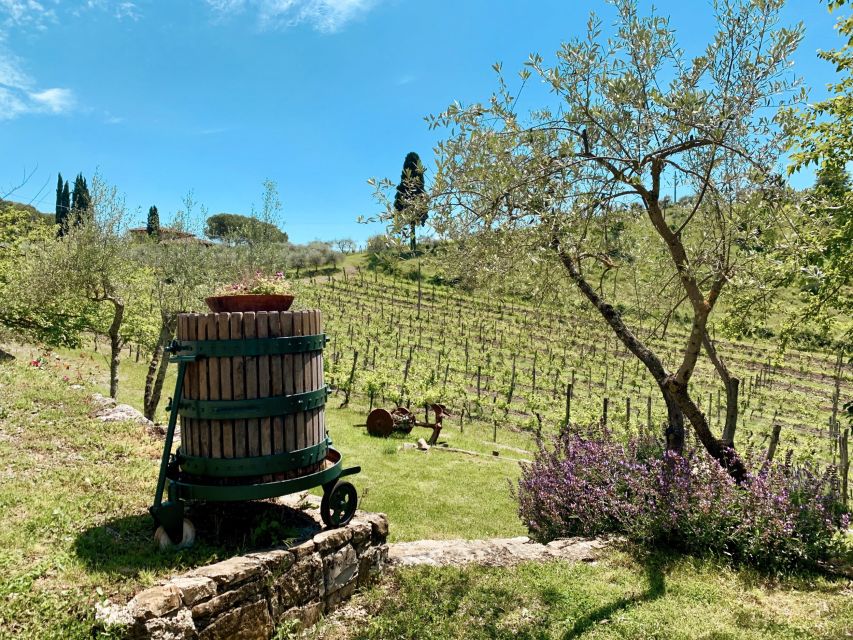 From Florence: Private Chianti Hills Tour with Tasting - Timing, comfort, and the return to Florence
