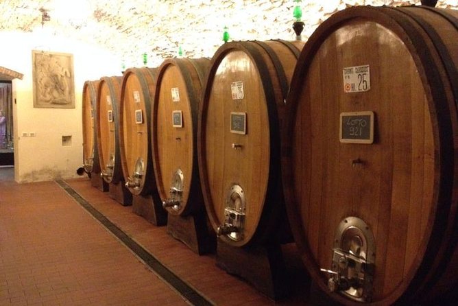 From Florence: Small-Group Tuscany Wine & Oil Tour with typical Tuscan Meal - From Florence to the Chianti hills