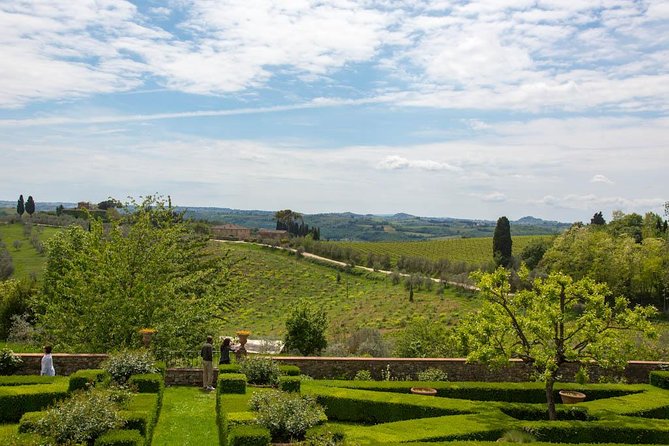 From Florence: Small-Group Tuscany Wine & Oil Tour with typical Tuscan Meal - Wine in the heart of Chianti Classico