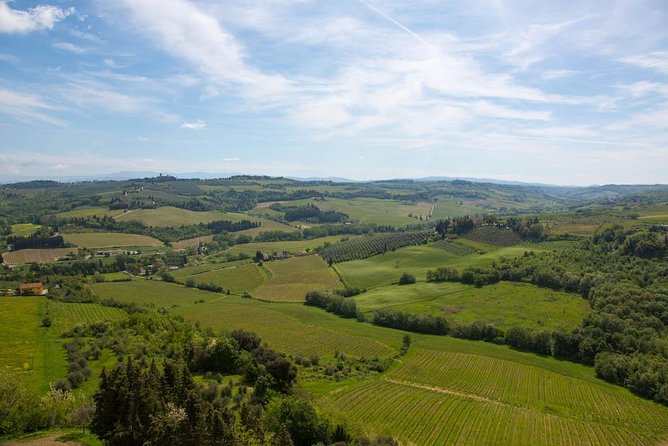 From Florence: Small-Group Tuscany Wine & Oil Tour with typical Tuscan Meal - Who will enjoy this day most