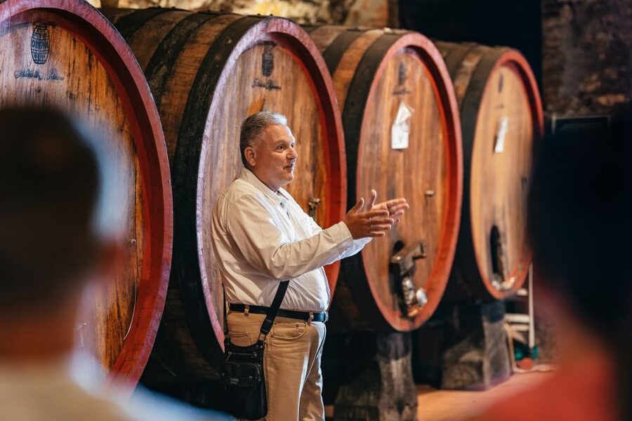 From Florence: Small Group Wine Tasting Tour to Tuscany - What the wine tasting is really like