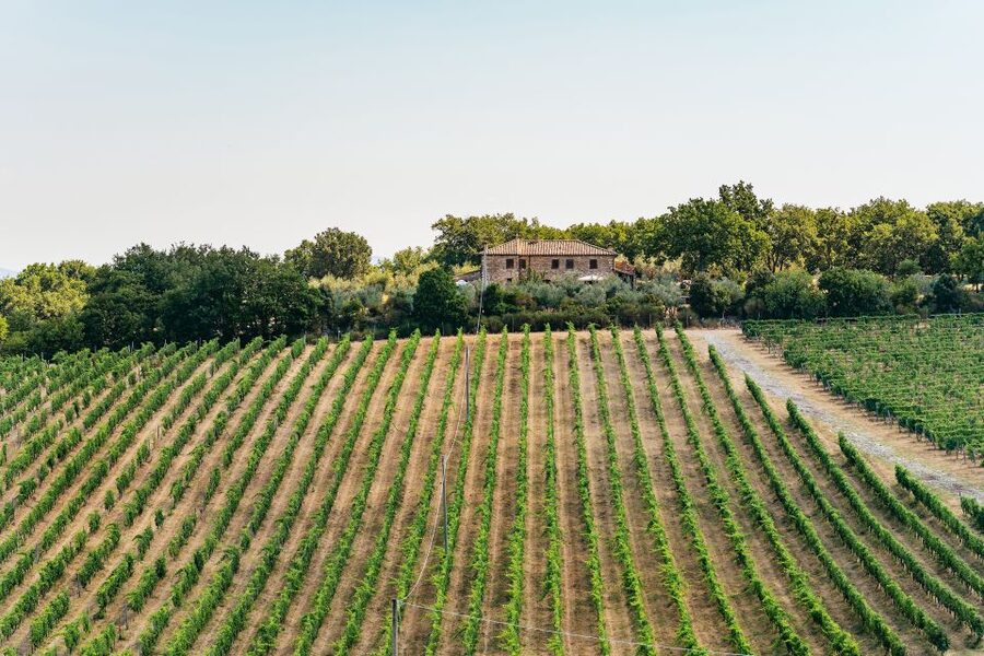 From Florence: Small Group Wine Tasting Tour to Tuscany - Timing, comfort, and small practical issues