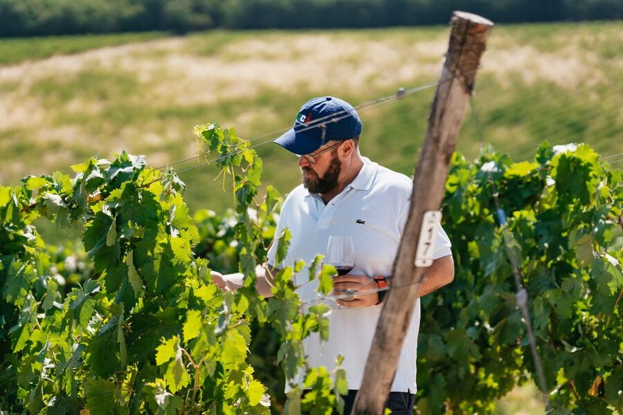 From Florence: Small Group Wine Tasting Tour to Tuscany - The first estate, cellar traditions and three wines