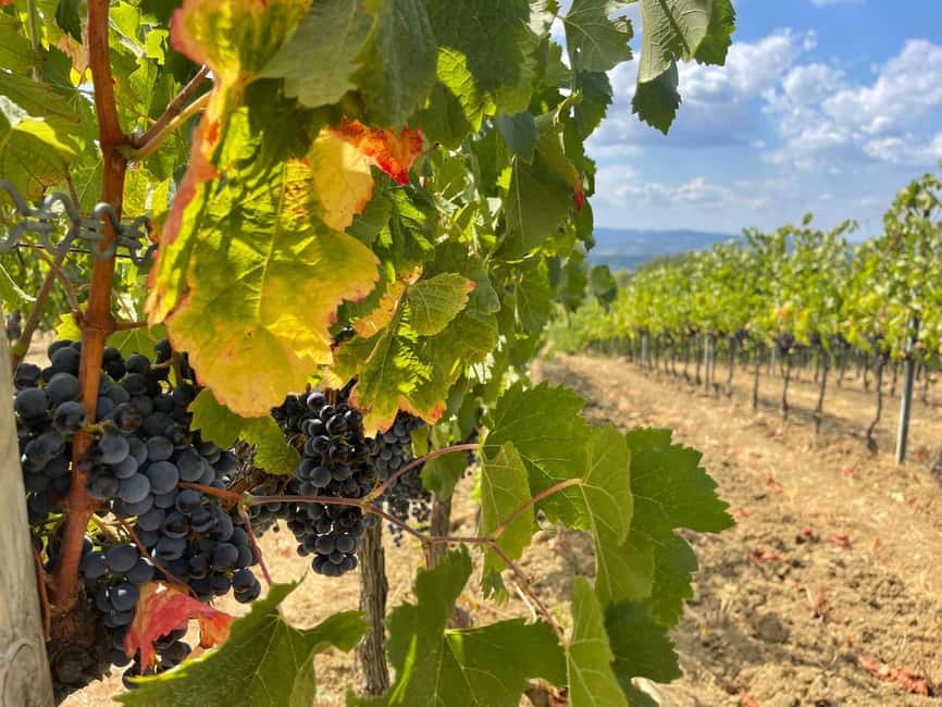 From Florence: Tuscany & San Gimignano Tour with 2 Tastings - Why this Florence to Tuscany day trip works