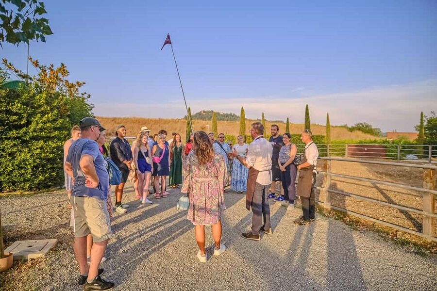 From Florence: Wine Tasting and Dinner in Chianti Vineyards - Food, wine, and the value of the $141 price