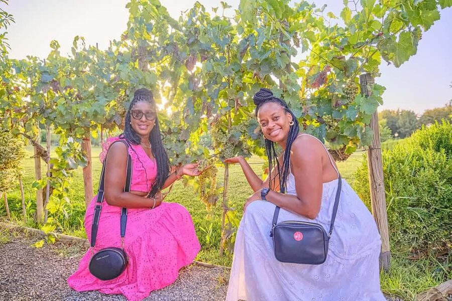 From Florence: Wine Tasting and Dinner in Chianti Vineyards - Who will enjoy this Chianti outing most