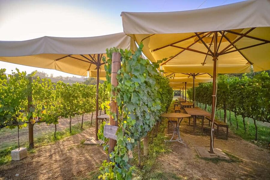 From Florence: Wine Tasting and Dinner in Chianti Vineyards - A short stop in Greve in Chianti