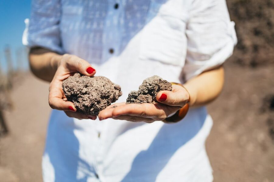 From Naples: All-Inclusive Mount Vesuvius Half-Day Tour - Should you book it?