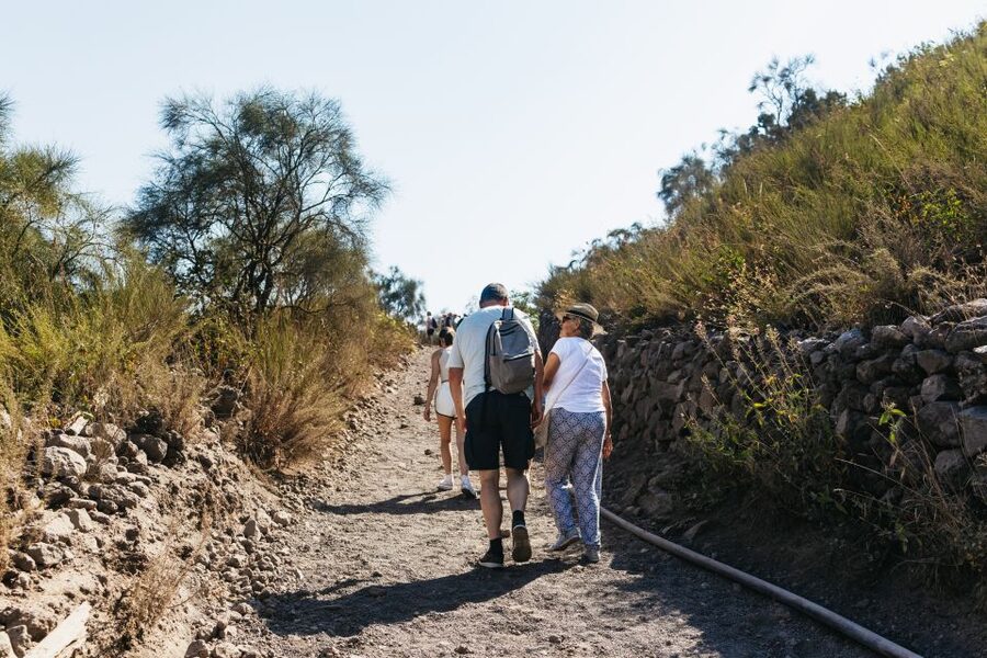 From Naples: All-Inclusive Mount Vesuvius Half-Day Tour - Drivers, communication, and the lack of a guide