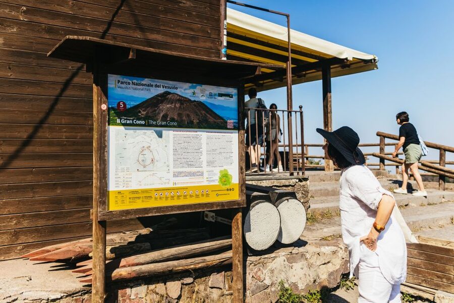 From Naples: All-Inclusive Mount Vesuvius Half-Day Tour - Who should book this excursion