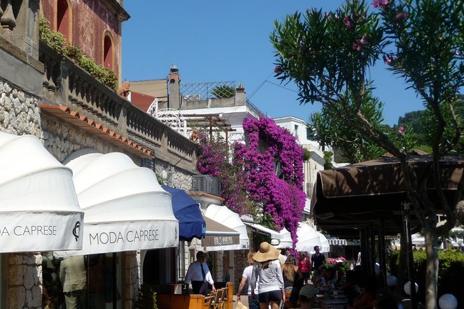 From Naples: Capri and Anacapri Small Group Tour + Ferry - San Michele and the choice between lunch and more sights
