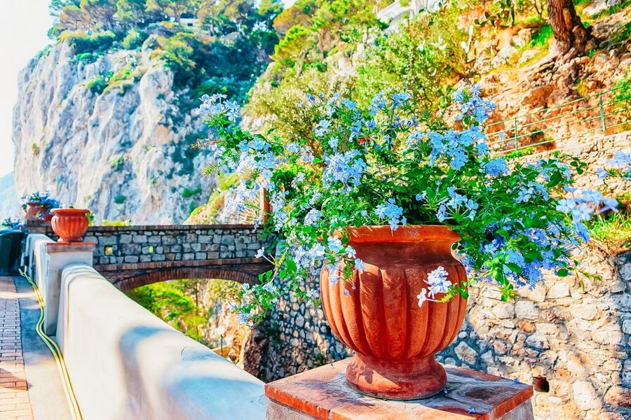 From Naples: Capri and Blue Grotto Day Tour - Meeting at Naples’ Molo Beverello