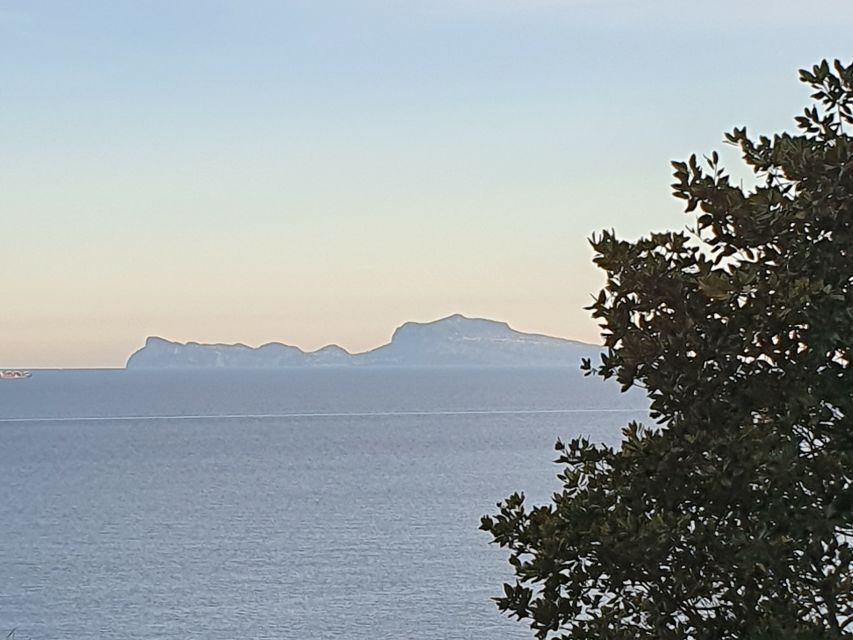 From Naples: Capri Day Trip with Lunch - Choosing between the Blue Grotto and free time