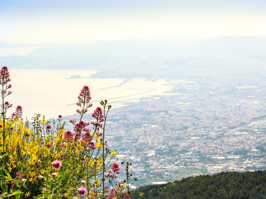 From Naples: Mount Vesuvius Transfer with Entry Tickets - The return ride to Naples