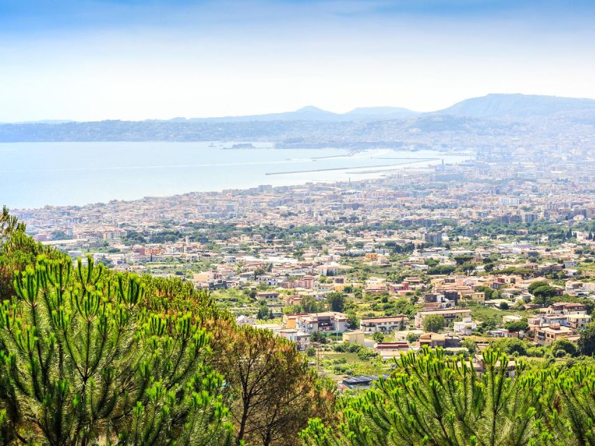 From Naples: Mount Vesuvius Transfer with Entry Tickets - Meeting the Around Vesuvio vehicle in Naples
