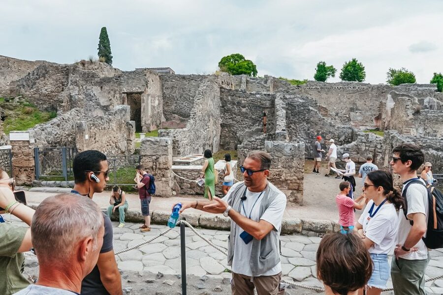 From Naples or Sorrento: Pompei Half-Day Tour - Who should book this Pompeii tour