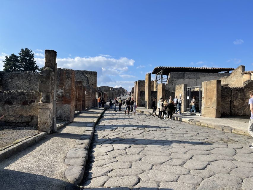 From Naples: Pompeii Guided Tour with Skip-the-Line Tickets - Why Pompeii works best with a guide