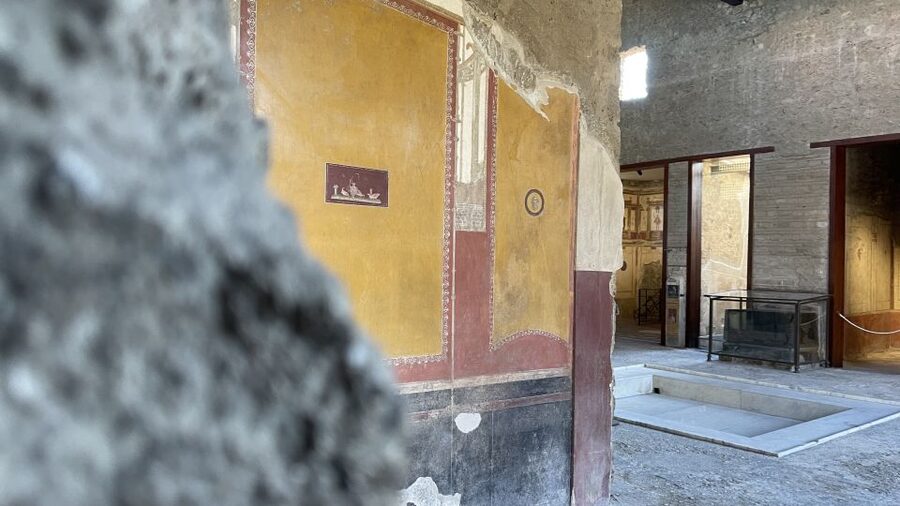 From Naples: Pompeii Guided Tour with Skip-the-Line Tickets - Shops, bakeries, and Roman homes