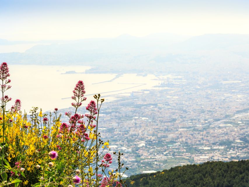 From Naples: Pompeii, Herculaneum, & Vesuvius Full-Day Tour - Who should book this day trip